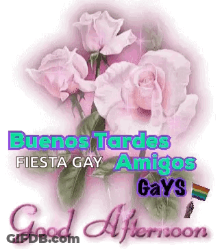A Picture Of Pink Roses With The Words Buenos Tardes Fiesta Gay Amigos Gays Good Afternoon GIF