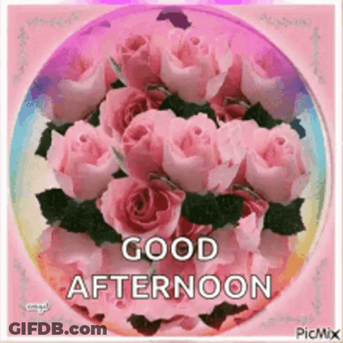 A Picture Of Pink Roses With The Words `` Good Afternoon '' Written On It GIF
