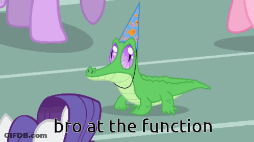 A Picture Of Ponies With The Words Bro At The Function GIF