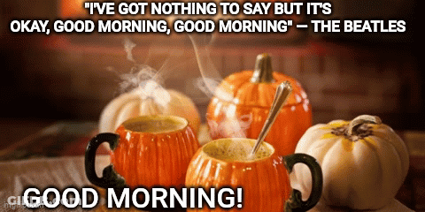 A Picture Of Pumpkins And Cups Of Coffee With The Words " I 'Ve Got Nothing To Say But It 'S Okay " GIF
