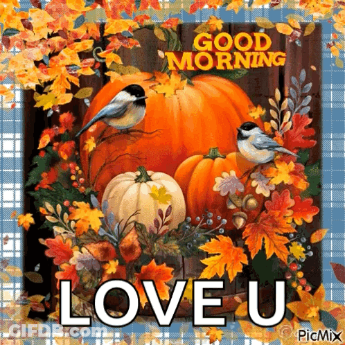 A Picture Of Pumpkins And Leaves With The Words Good Morning Love U On It . GIF