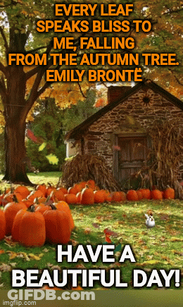 A Picture Of Pumpkins With A Quote From Emily Bronte GIF