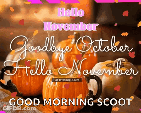 A Picture Of Pumpkins With The Words `` Hello November Good Morning Scoot '' Written On It . GIF