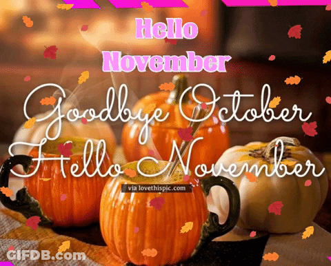 A Picture Of Pumpkins With The Words Hello November GIF