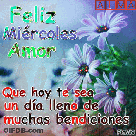 A Picture Of Purple Daisies With The Words Feliz Miercoles Amor GIF