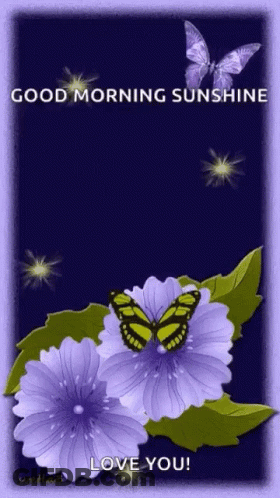 A Picture Of Purple Flowers And Butterflies With The Words Good Morning Sunshine GIF