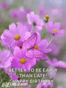 A Picture Of Purple Flowers With A Butterfly On Them And The Words `` Better To Be Early Than Late ! Happy Birthday '' . GIF