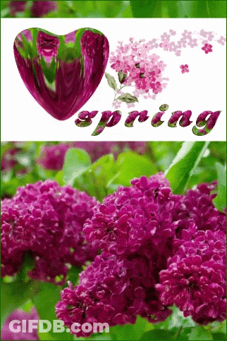 A Picture Of Purple Flowers With A Heart And The Word Spring GIF
