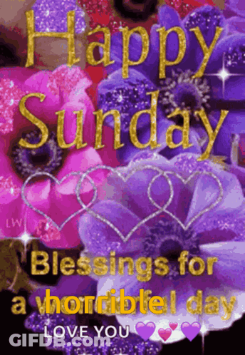 A Picture Of Purple Flowers With The Words Happy Sunday Blessings For A Horrible Day Love You GIF