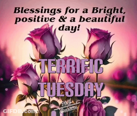 A Picture Of Purple Roses With The Words Blessings For A Bright Positive And Beautiful Day Terrific Tuesday GIF