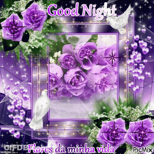 A Picture Of Purple Roses With The Words Good Night Flores Da Minha Vida On It GIF