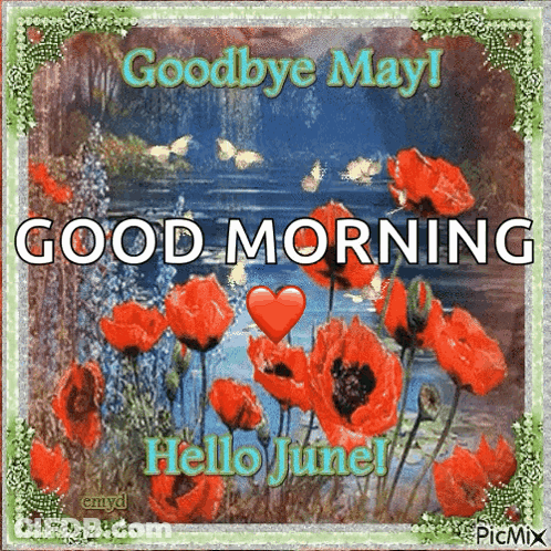 A Picture Of Red Flowers With The Words Goodbye May Good Morning And Hello June GIF