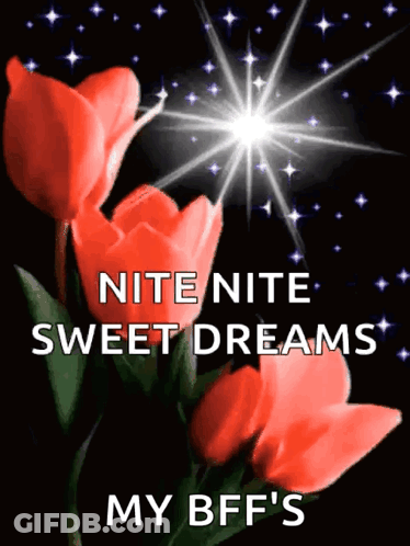 A Picture Of Red Flowers With The Words Nite Nite Sweet Dreams My Bff 'S GIF