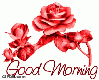 A Picture Of Red Roses With The Words Good Morning Below It GIF