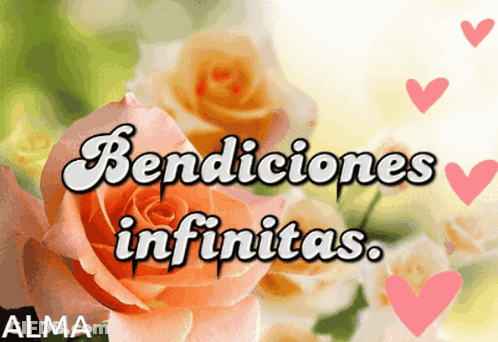A Picture Of Roses With The Words Bendiciones Infinitas On It GIF