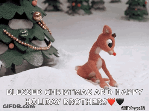 A Picture Of Rudolph The Red Nosed Reindeer With The Words Blessed Christmas And Happy Holiday Brothers Below It GIF
