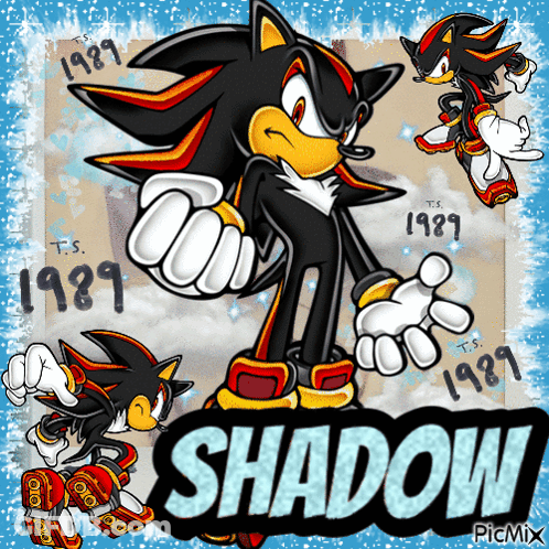 A Picture Of Shadow The Hedgehog From The Video Game Sonic GIF