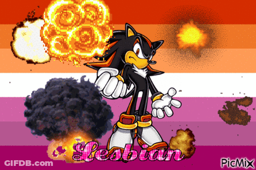 A Picture Of Shadow The Hedgehog Holding A Bomb With The Word Lesbian On The Bottom GIF