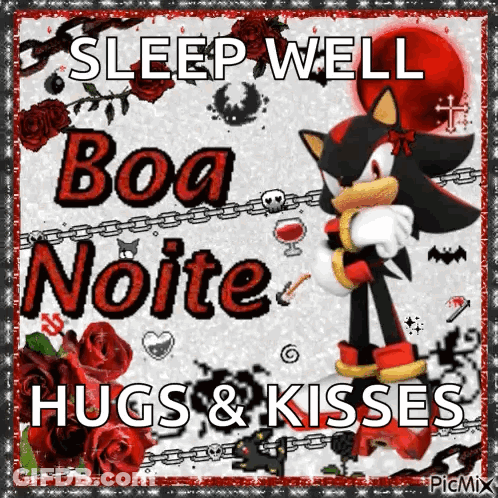 A Picture Of Shadow The Hedgehog Saying Sleep Well Boa Noite GIF