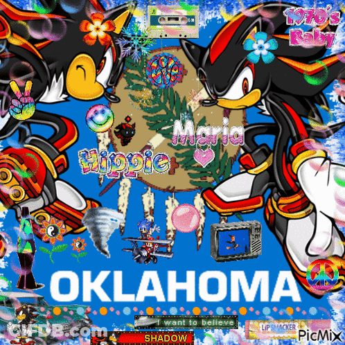 A Picture Of Shadow The Hedgehog With Oklahoma On The Bottom GIF