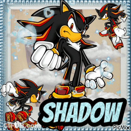 Shadow The Hedgehog With Name Shadow GIF