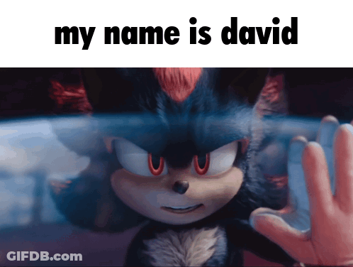 A Picture Of Shadow The Hedgehog With The Words My Name Is David Below It GIF