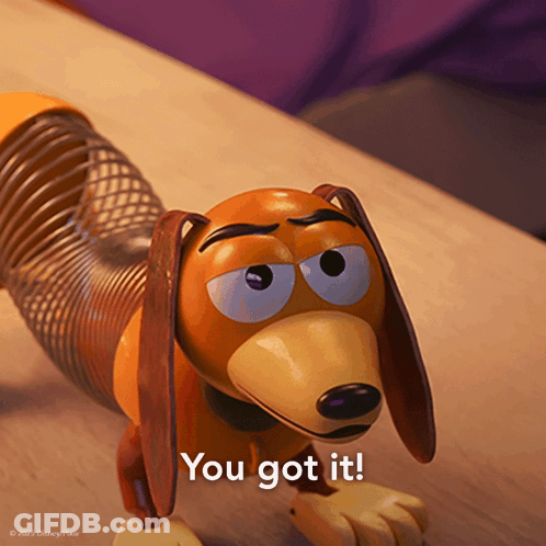 A Picture Of Slinky Dog From Toy Story With The Caption You Got It GIF