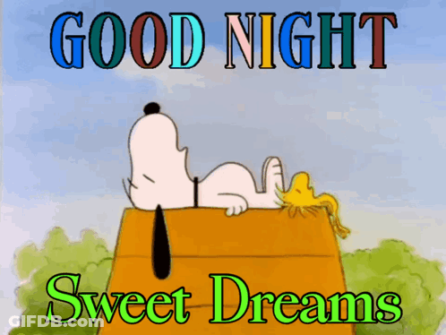 A Picture Of Snoopy And Woodstock Saying Good Night GIF