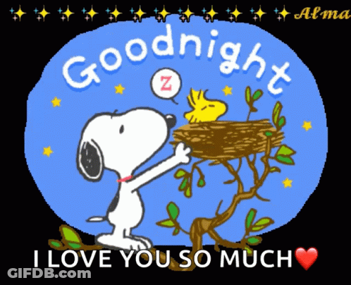 A Picture Of Snoopy And Woodstock Saying Goodnight I Love You So Much GIF