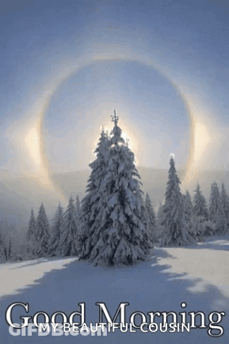 A Picture Of Snow Covered Trees With The Words Good Morning My Beautiful Cousin GIF