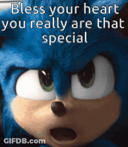 A Picture Of Sonic The Hedgehog With The Words Bless Your Heart You Really Are That Special On It GIF