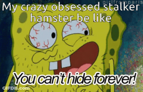 A Picture Of Spongebob With A Caption That Says My Crazy Obsessed Stalker Hamster Be Like You Can 'T Hide Forever GIF