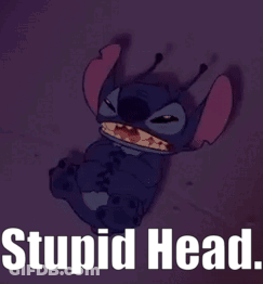A Picture Of Stitch With The Words Stupid Head On The Bottom GIF