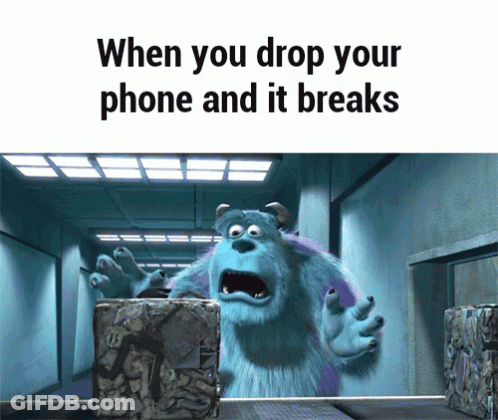 A Picture Of Sulley From Monsters Inc With The Words When You Drop Your Phone And It Breaks GIF