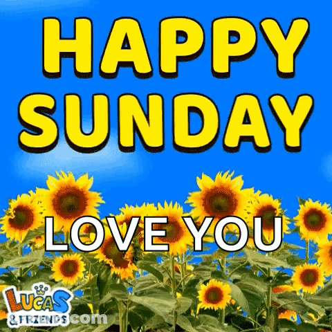 A Picture Of Sunflowers With The Words Happy Sunday Love You . GIF