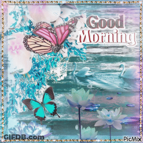 A Picture Of Swans And Butterflies With The Words Good Morning GIF