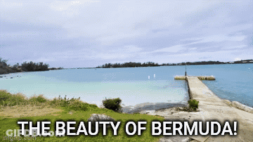 A Picture Of The Beauty Of Bermuda With A Dock GIF