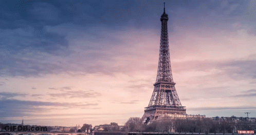 A Picture Of The Eiffel Tower Taken By Trunk Filled GIF
