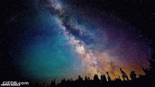 A Picture Of The Milky Way Galaxy With Trees In The Foreground GIF