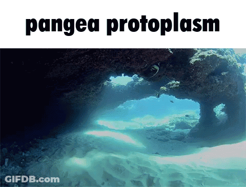 A Picture Of The Ocean With The Words Pangea Protoplasm GIF