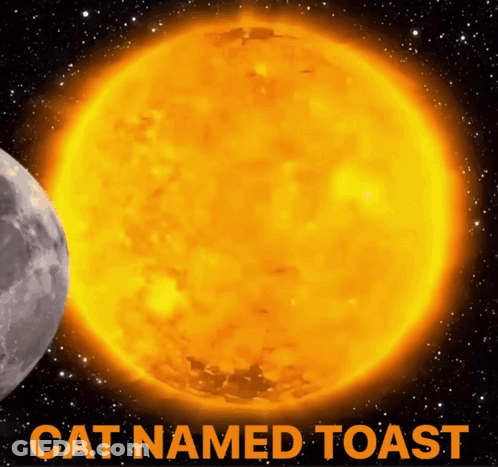 A Picture Of The Sun With The Words Cat Named Toast GIF