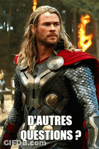 A Picture Of Thor With The Words D' Autres Questions Written Below Him GIF
