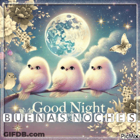 A Picture Of Three Birds Sitting On A Branch With The Words Good Night Buenas Noches GIF