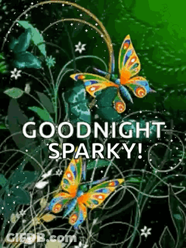 A Picture Of Three Butterflies With The Words Goodnight Sparky GIF