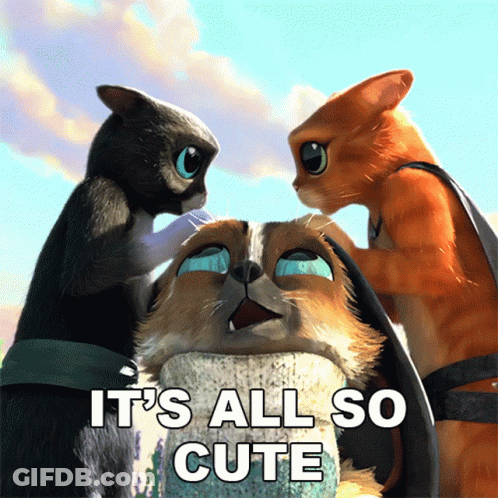 A Picture Of Three Cats With The Words It 'S All So Cute Above Them GIF