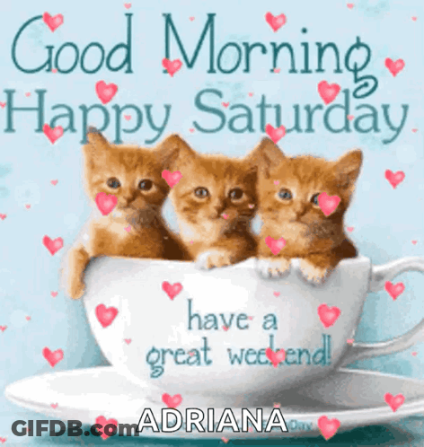 A Picture Of Three Kittens In A Cup That Says " Good Morning Happy Saturday " GIF