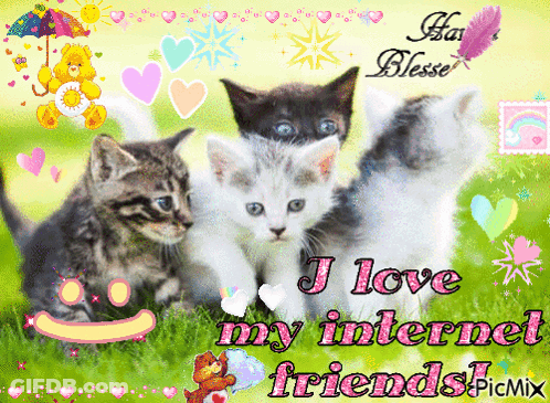 A Picture Of Three Kittens With The Words " I Love My Internet Friends " GIF