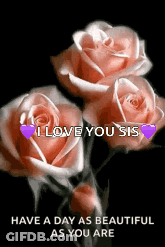 A Picture Of Three Pink Roses With A Message That Says I Love You Sis Have A Day As Beautiful As You Are GIF