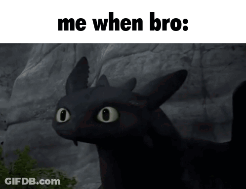 A Picture Of Toothless From How To Train Your Dragon Says Me When Bro GIF