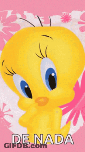 A Picture Of Tweety With The Words De Nada Written Below It GIF